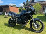 Triumph Tiger 900 T400 Liebhaberstück  - TRIUMPH TIGER T400
