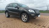 Mercedes-Benz Mercedes W164 ML 300 cdi Blueeffizienzy - Mercedes-Benz ML 300 von privat