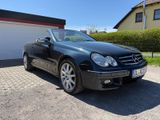 Mercedes-Benz CLK 350 AVANTGARDE UNFALLFREI Scheckheft  - Mercedes-Benz CLK 350: Cabrio