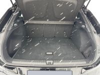 Cupra Terramar - Vorschau Bild 7