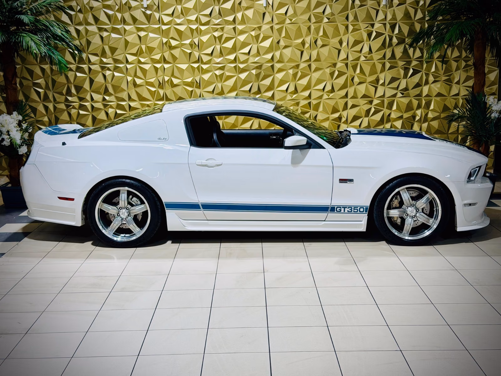 Ford Mustang Shelby American GT 350|624PS|CSM|SAMMLER