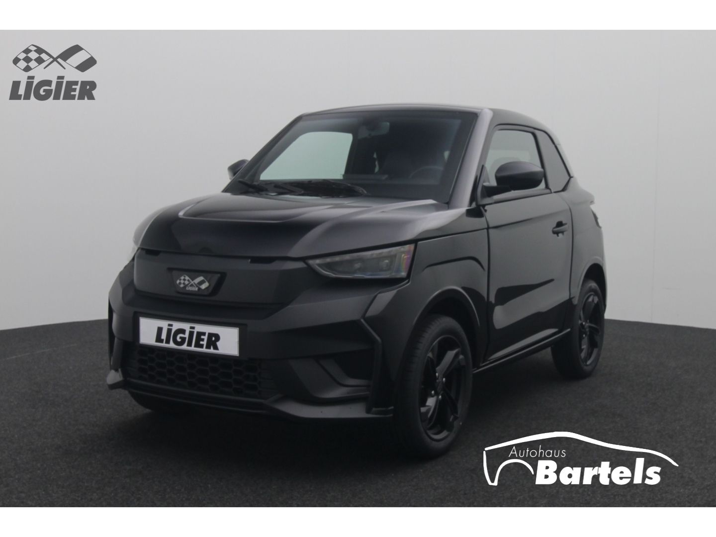 Fahrzeugabbildung Ligier JS 50 Elite ''Elektro'' ' Carplay,Kamera,Sitzhei