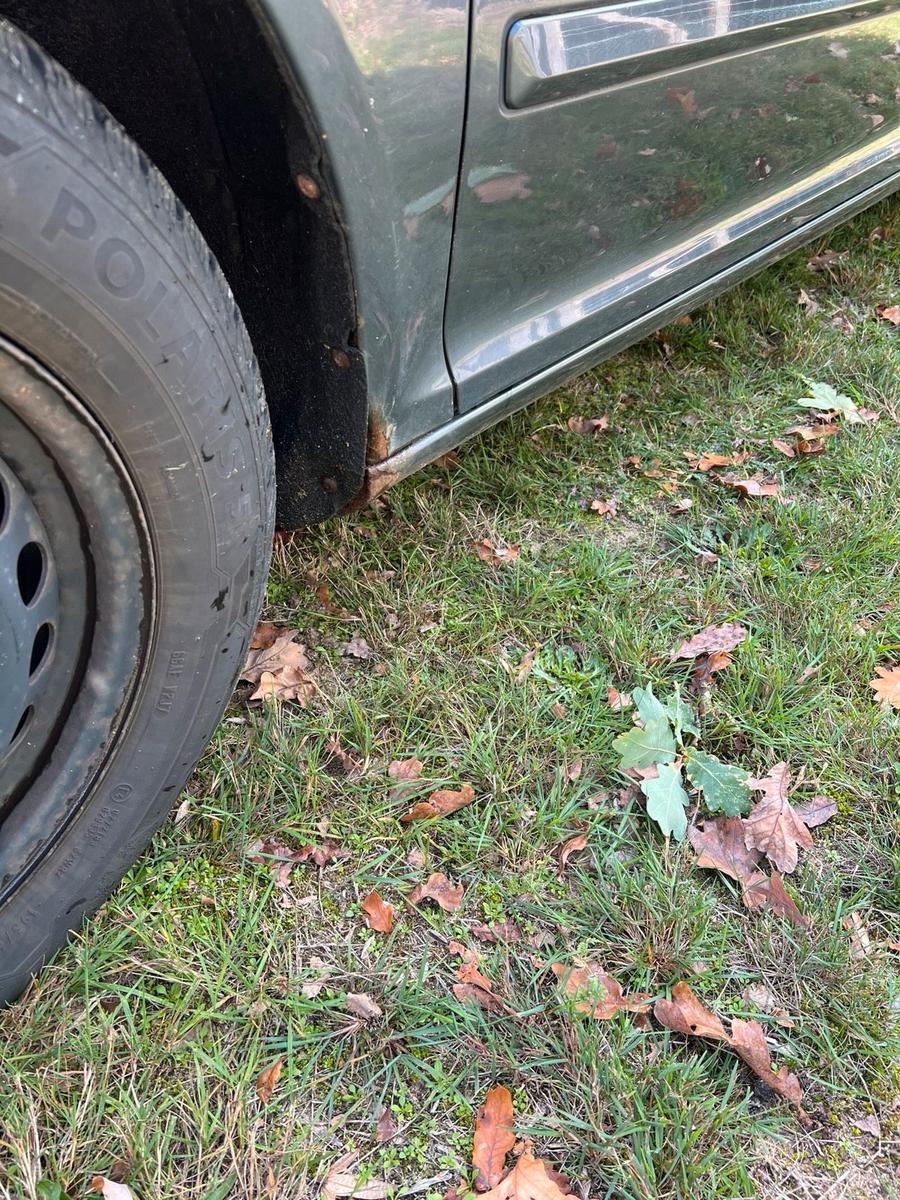 Skoda Octavia 2009 — photo 5
