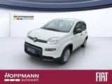 Fiat Panda Base Einparkhilfe Klima Radio Bluetooth