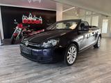 Volkswagen Golf VI Cabriolet  BMT - mit Diesel-Antrieb: Violett