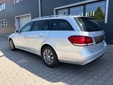 Mercedes-Benz E 220 BlueTEC BE T Edition ELEGANCE Auto Edi... - Mercedes-Benz E 220 Gebrauchtwagen in Mainz