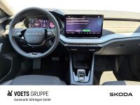 Skoda Octavia - Vorschau Bild 7