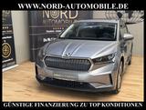 Skoda Enyaq iV 60 Loft Panorama/Matrix/Kamera/19 - graue Skoda Enyaq