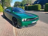 Dodge Challenger First Edition SRT8 6.1 HEMI V8 - Dodge Challenger: 6.1
