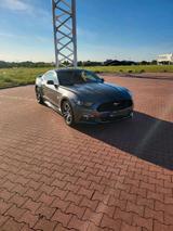 Ford Mustang - Ford Mustang: For