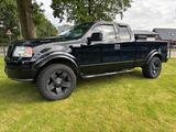 Ford F150 5,4 Triton Pickup,Klima,Kamera,T... - gebrauchte Ford F 150 aus dem Jahr 2004
