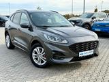 Ford Kuga Plug-In Hybrid ST-Line Styling Paket - Ford Kuga aus 2021