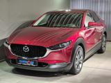 Mazda CX-30 Edition100 X-180/Leder/Navi/Head-Up/Matrix - Mazda CX-30 mit Hybrid-Antrieb