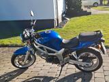 Suzuki SV 650, tiefergelegt