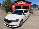 Skoda Fabia 1,0TSI Smartlink PDC-Kamera NAVI SHZ Style