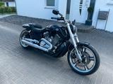 Harley-Davidson V Rod Muscle VRSCF - HARLEY-DAVIDSON V ROD MUSCLE VRSCF