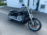 Harley-Davidson V Rod Muscle VRSCF - Angebote entsprechen deinen Suchkriterien