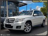 Mercedes-Benz GLK 220 CDI Sport PANO. 4x4. NAVI. AHK - Mercedes-Benz GLK 220 in Mainz