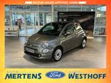 Fiat 500 Dolcevita Klima + Panorama + Allwetter - Fiat 500 in Hamm