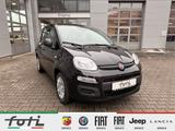 Fiat Panda 1.0 GSE 70PS Klima PDC DAB+ Radio - Fiat Panda Gebrauchtwagen in Berlin