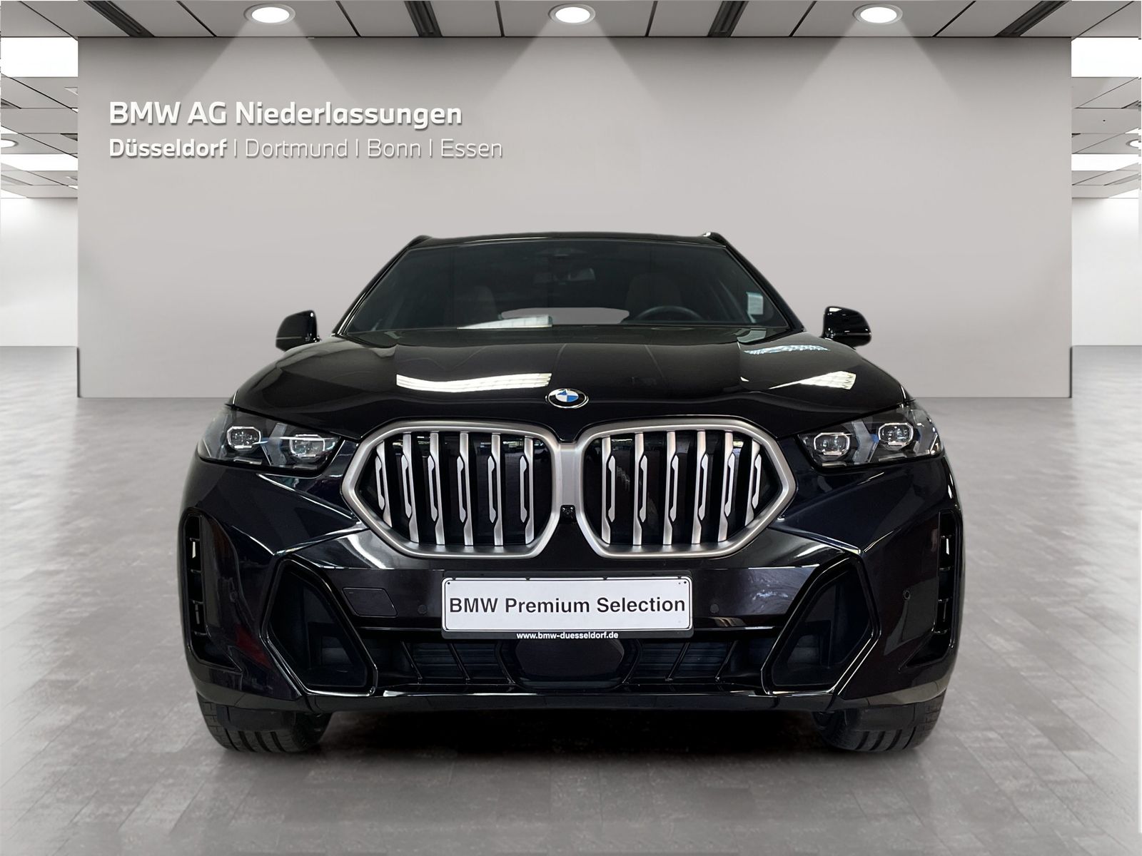 BMW X6 - Bild 8