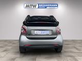 Smart fortwo Exclusive und Plus-Paket Leder Navi 22kW - mit Elektro-Antrieb: Cabrio, Automatik