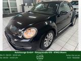 Volkswagen Beetle Lim. Design*Sitzheizung*PDC*Bluetooth* - Volkswagen Beetle aus 2012 mit Diesel-Antrieb