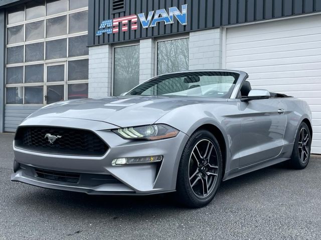 Ford Mustang Cabrio 2.3 Premium Paket Leder 10-Gang