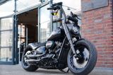 Harley-Davidson FLFBS Fat Boy Anniversary Nr. 702/2500 - Offers matching your search criteria