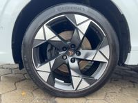 Cupra Terramar - Vorschau Bild 16