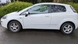 Fiat FIAT Punto 1.2 / EZ 2013 - Fiat Punto in Oberhausen
