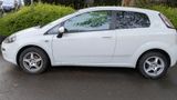 Fiat FIAT Punto 1.2 / EZ 2013 - Fiat Punto in Gelsenkirchen