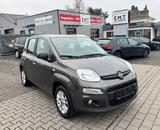Fiat Panda Easy *TÜV Neu * PDC hinten - gebrauchte Fiat Panda aus dem Jahr 2017