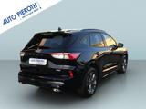 Ford Kuga 2.5 Duratec FHEV ST-LINE X (DFK) - Ford Kuga Tageszulassungen