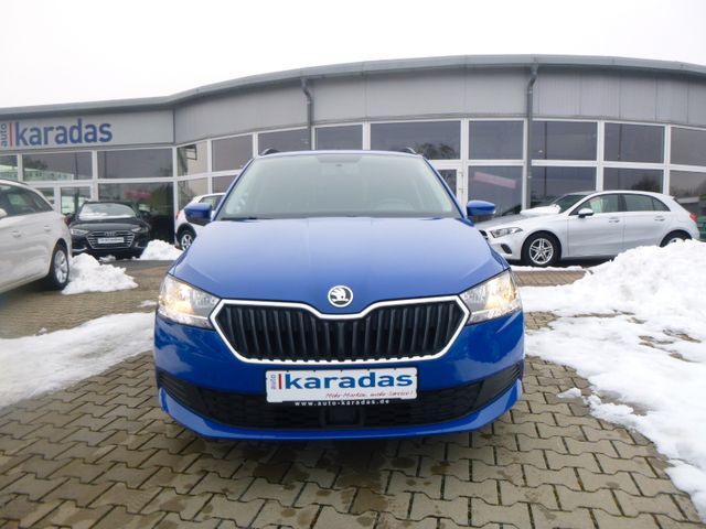 Fahrzeugabbildung Skoda Fabia 1,0 TSI Kombi >NAVI/Einparh/SmartLink<