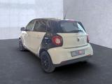 Smart ForFour Basis 66 kW - gebrauchte Smart ForFour aus dem Jahr 2017