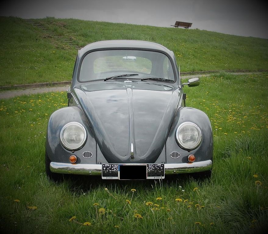 Volkswagen Käfer