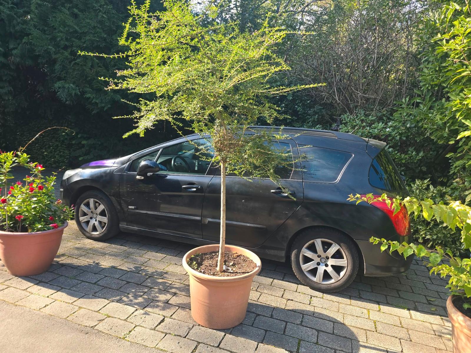 Peugeot 308 2012 — engine 1.997 cm³, 150 HP (110kW)