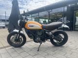 Ducati Scrambler 803 - Offers