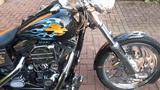 Harley-Davidson FXD - HARLEY-DAVIDSON BRAUNSCHWEIG