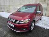 Volkswagen Caddy Alltrack 2.0TDI  Parlenkassistent Tempomat - Volkswagen Caddy: 2.0