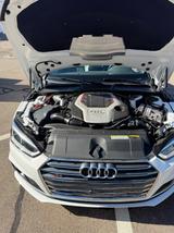 Audi S5 3.0 TFSI tiptronic quattro Cabriolet - - Audi S5 in Stuttgart