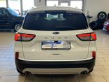 Ford Kuga Titanium Navi*W-Paket*R-Cam*CarPlay*ACC*1H* - Ford Kuga Gebrauchtwagen in Bonn