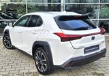 Lexus UX 250h Style Edition - Lexus Gebrauchtwagen in Augsburg