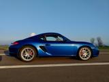 Porsche Cayman S, wenig Km, Approved -3/26 - Porsche Cayman aus 2011