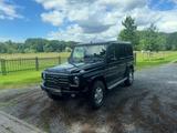 Mercedes-Benz Mercedes G300TD OM606 VOLL - Mercedes-Benz G 300: G300td
