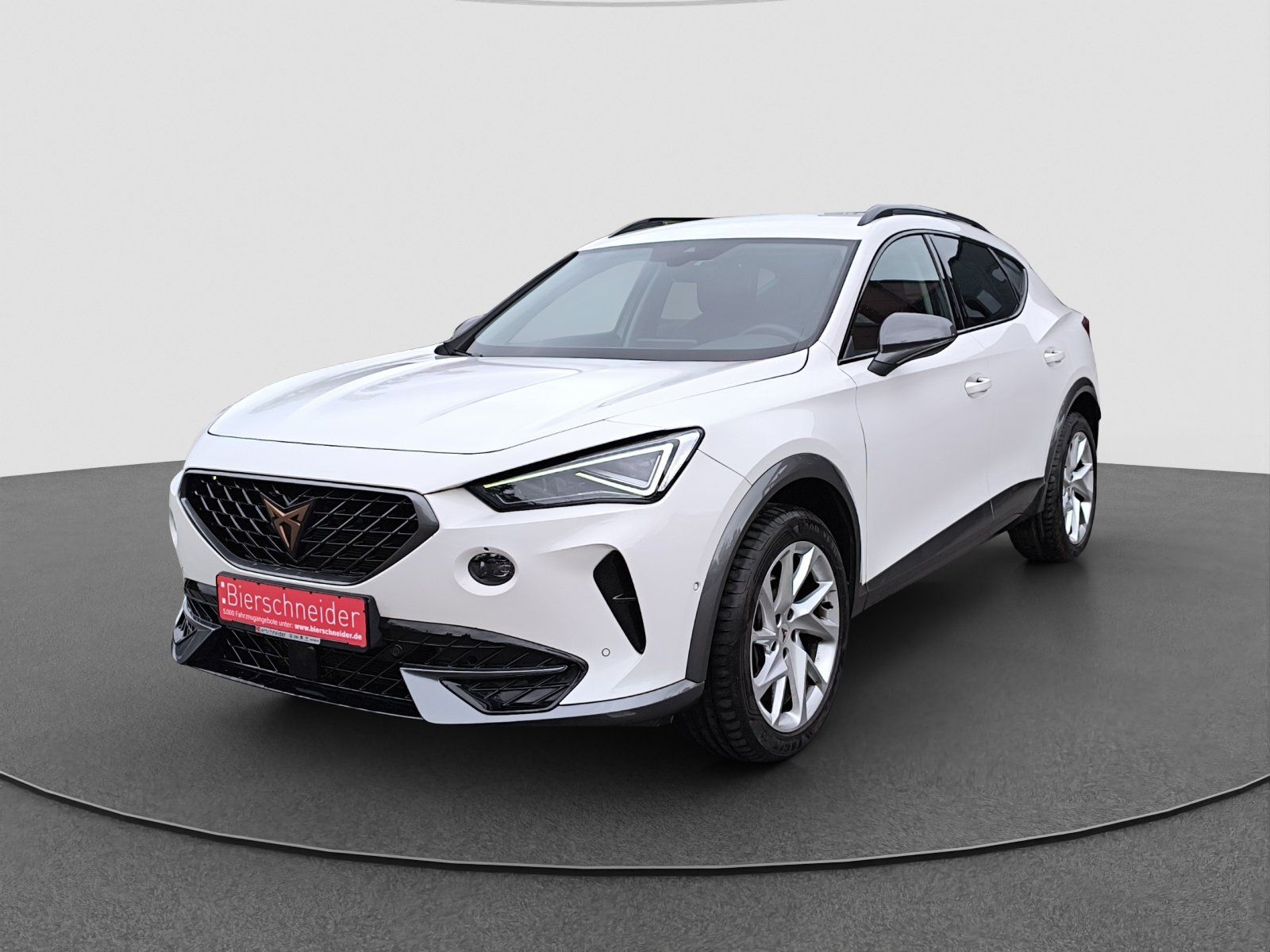 Cupra Formentor 2.0 TSI DSG 4Drive MATRIX ACC PDC FULL imagem 2