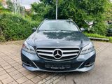 Mercedes-Benz E 250 CGI T-BlueEf-SHD-Standheizung-AHK-Tüv03.26 - Mercedes-Benz E 250 aus 2014