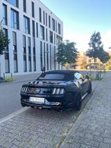 Ford Mustang 5.0 Ti-VCT V8 GT Auto GT | EU | AGA - Ford Mustang: 5.0