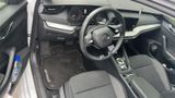 Skoda Škoda Octavia 2.0 TDI DSG | 1. Hand | Unfallfrei - Skoda Octavia: 1u2